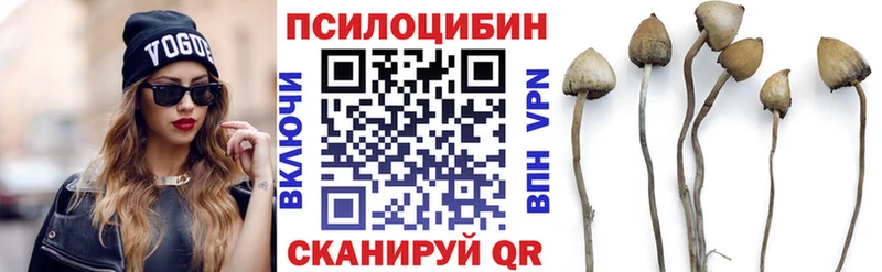 МЕГА как войти  Хасавюрт  Псилоцибиновые грибы Magic Shrooms  сайты даркнета какой сайт  как найти закладки 